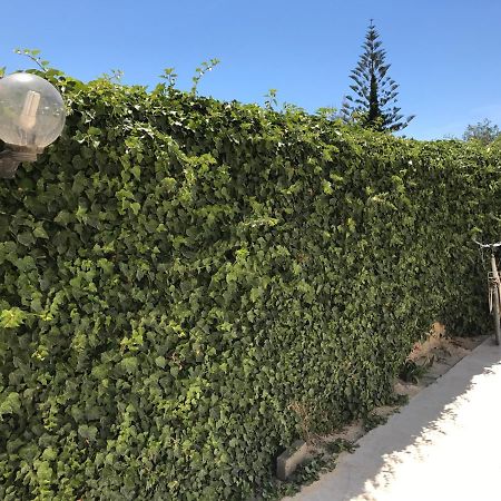 Zibi&Bibbo Villa Marsala Dış mekan fotoğraf